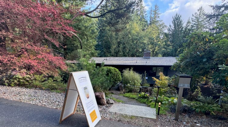 Open Studio at Clift House!